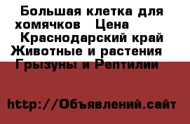 Большая клетка для хомячков › Цена ­ 700 - Краснодарский край Животные и растения » Грызуны и Рептилии   